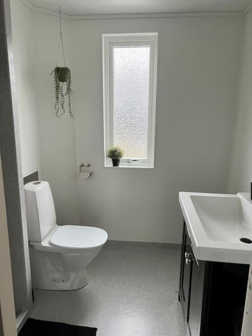 Apartment In The Center Of Torshavn, Free Parking. Eksteriør bilde